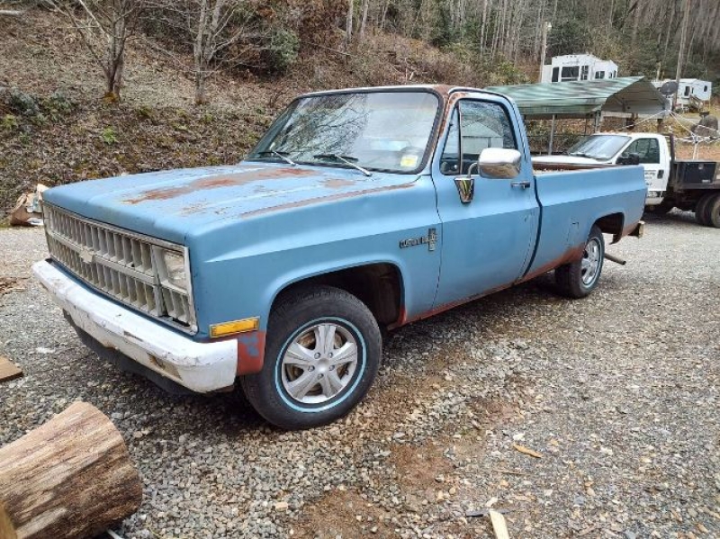 1981 Chevrolet Deluxe for sale in Michigan (ID-142139)