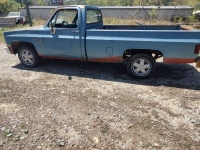 1981 Chevrolet Deluxe for sale in Michigan (ID-142139)