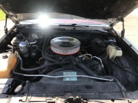 1981 Chevrolet El Camino for sale (ID-102642)
