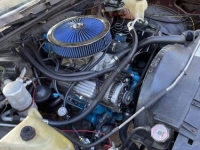 1981 Chevrolet El Camino for sale in Michigan (ID-117945)