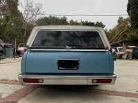 1981 Chevrolet El Camino for sale in Michigan (ID-128013)