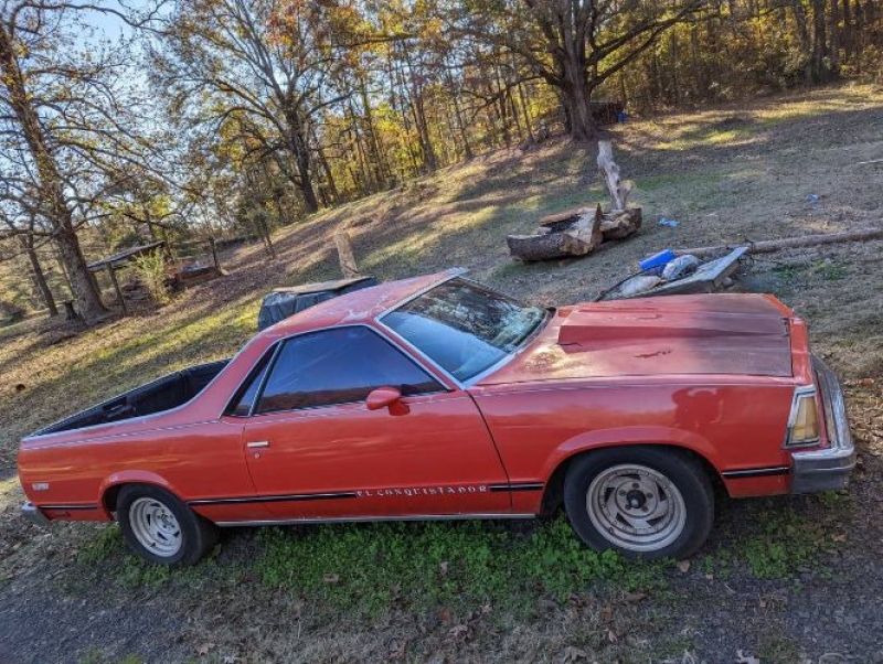1981 Chevrolet El Camino for sale in Michigan (ID-138477)