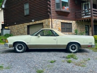 1981 Chevrolet El Camino for sale in Michigan (ID-139309)