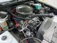 1981 Chevrolet El Camino for sale in Michigan (ID-139309)