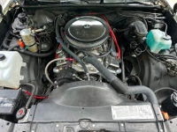 1981 Chevrolet El Camino for sale in Michigan (ID-139309)