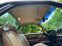 1981 Chevrolet El Camino for sale in Michigan (ID-139309)