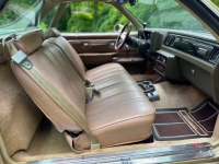 1981 Chevrolet El Camino for sale in Michigan (ID-139309)