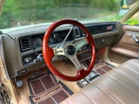 1981 Chevrolet El Camino for sale in Michigan (ID-139309)