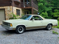 1981 Chevrolet El Camino for sale in Michigan (ID-139309)