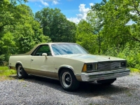 1981 Chevrolet El Camino for sale in Michigan (ID-139309)