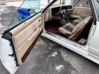 1981 Chevrolet El Camino for sale in Michigan (ID-139404)