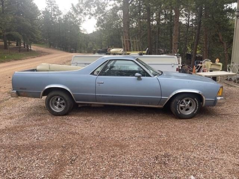 1981 Chevrolet El Camino for sale in Michigan (ID-142513)