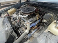 1981 Chevrolet El Camino for sale in Michigan (ID-142513)
