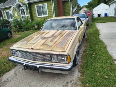1981 Chevrolet El Camino for sale in Michigan