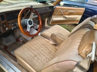 1981 Chevrolet El Camino for sale in Michigan (ID-155426)