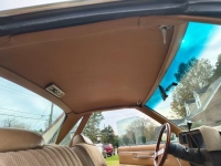 1981 Chevrolet El Camino for sale in Michigan (ID-155426)