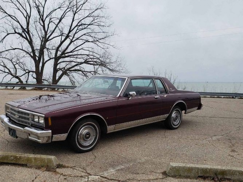1981 Chevrolet Impala for sale in Michigan (ID-95067)
