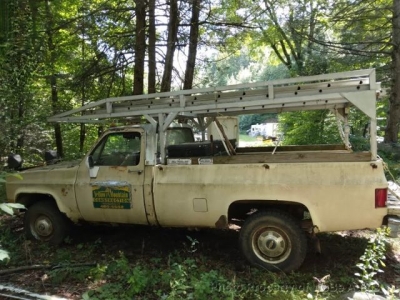 1981 Chevrolet K20 for sale