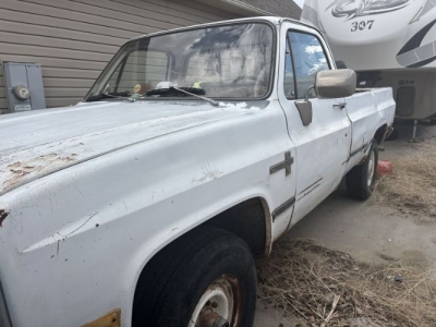 1981 Chevrolet K20 for sale