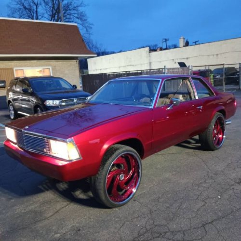 1981 Chevrolet Malibu for sale in Michigan (ID-125584)