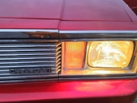 1981 Chevrolet Malibu for sale in Michigan (ID-125584)