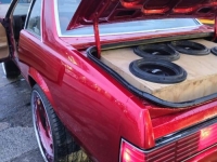 1981 Chevrolet Malibu for sale in Michigan (ID-125584)