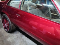 1981 Chevrolet Malibu for sale in Michigan (ID-125584)