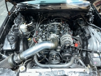 1981 Chevrolet Malibu for sale in Addison, Illinois (ID-126987)