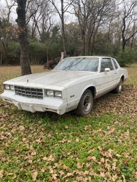 1981 Chevrolet Monte Carlo for sale in Michigan (ID-94048) 1981 Chevrolet Monte Carlo for sale in Michigan (ID-94048)
