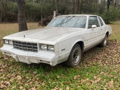 1981 Chevrolet Monte Carlo for sale