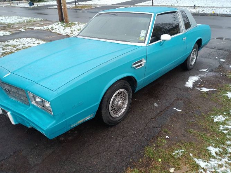 1981 Chevrolet Monte Carlo for sale in Michigan (ID-109160)