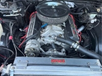 1981 Chevrolet Monte Carlo for sale in Michigan (ID-136324)