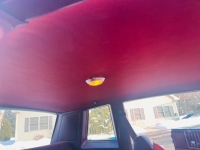 1981 Chevrolet Monte Carlo for sale in Michigan (ID-162428)