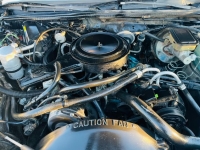 1981 Chevrolet Monte Carlo for sale in Michigan (ID-162428)