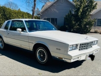 1981 Chevrolet Monte Carlo for sale in Michigan (ID-162428)