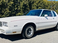 1981 Chevrolet Monte Carlo for sale in Michigan (ID-162428)