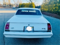 1981 Chevrolet Monte Carlo for sale in Michigan (ID-162428)