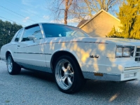 1981 Chevrolet Monte Carlo for sale in Michigan (ID-162428)