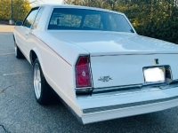 1981 Chevrolet Monte Carlo for sale in Michigan (ID-162428)