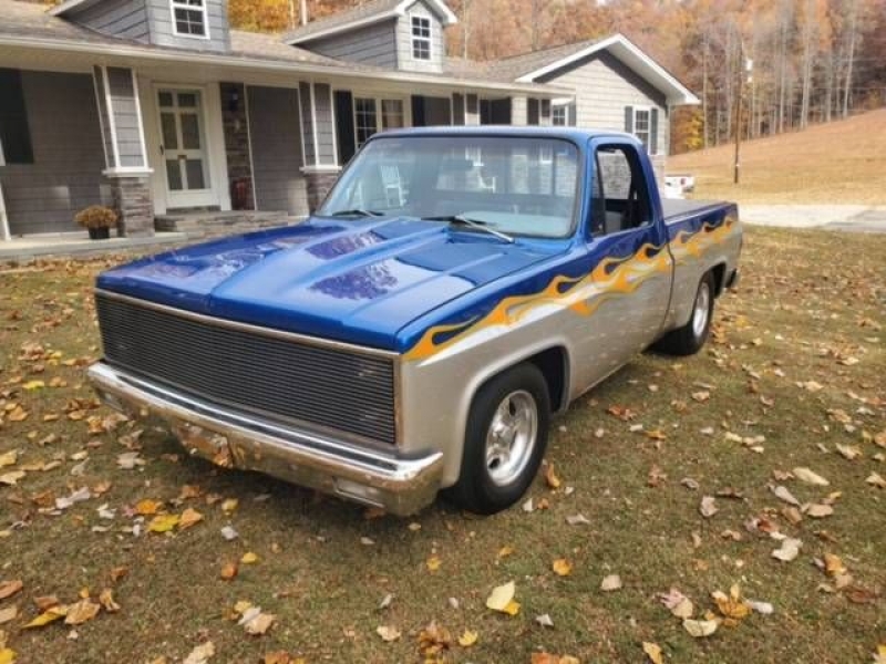 1981 Chevrolet Pickup for sale in Michigan (ID-110188) 1981 Chevrolet Pickup for sale in Michigan (ID-110188)