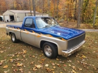1981 Chevrolet Pickup for sale in Michigan (ID-110188)