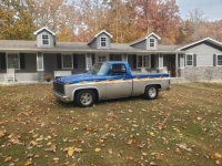 1981 Chevrolet Pickup for sale in Michigan (ID-110188)