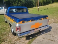 1981 Chevrolet Pickup for sale in Michigan (ID-110188)