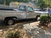 1981 Chevrolet Pickup for sale in Michigan (ID-136670)