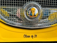 1981 Chevrolet Roadster for sale in Michigan (ID-146306)