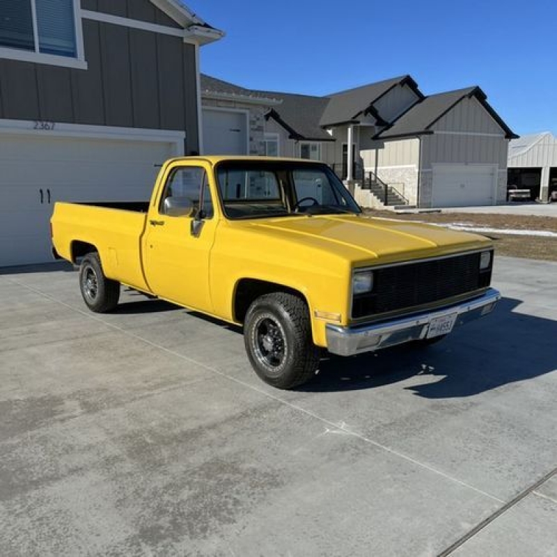 1981 Chevrolet Silverado for sale in Michigan (ID-101057)