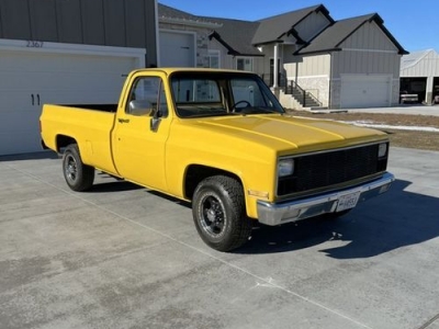 1981 Chevrolet Silverado for sale