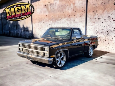 1981 Chevrolet Silverado for sale