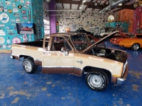 1981 Chevrolet Silverado for sale in Michigan (ID-119631)