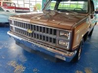 1981 Chevrolet Silverado for sale in Michigan (ID-119631)